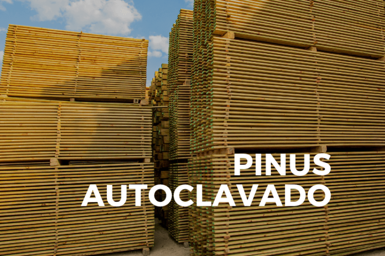 Conheça 3 vantagens do Pinus Autoclavado