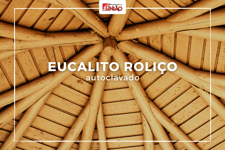 Eucalipto Roliço Autoclavado
